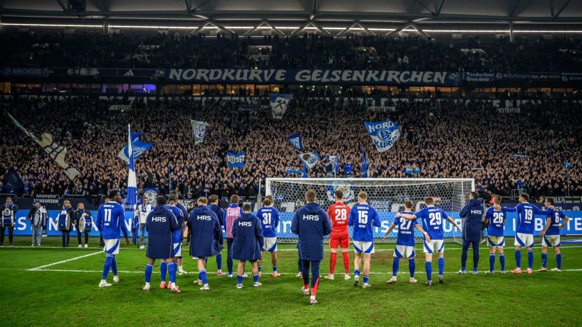 fc schalke 04 v hertha bsc second bundesliga