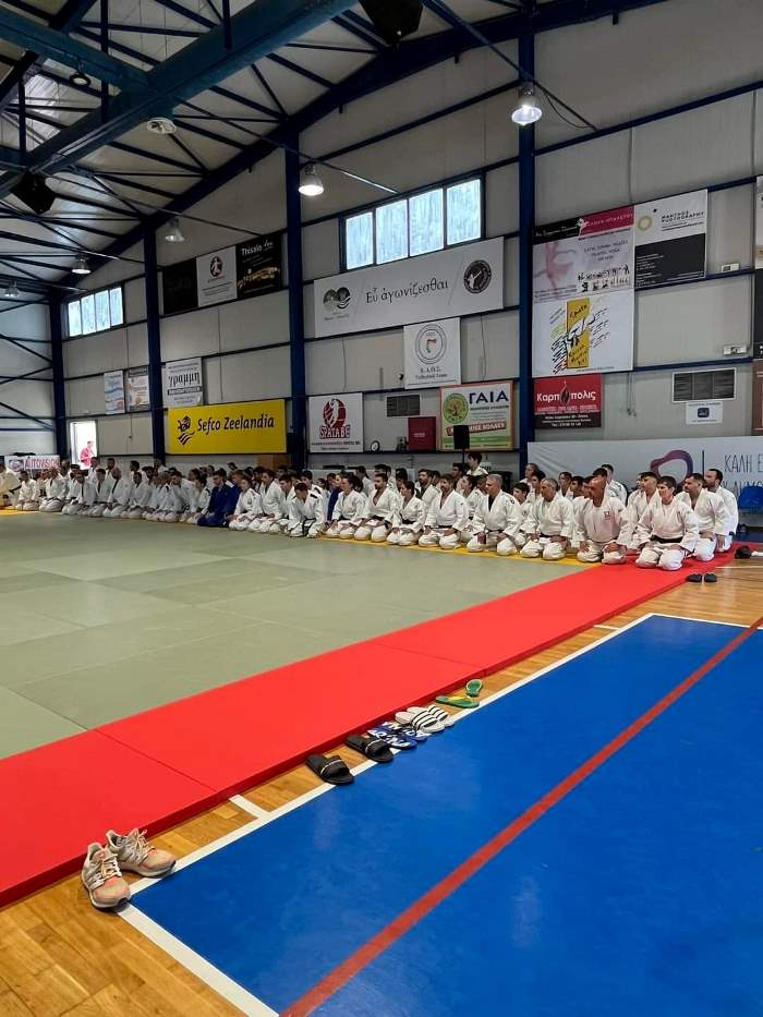 judo