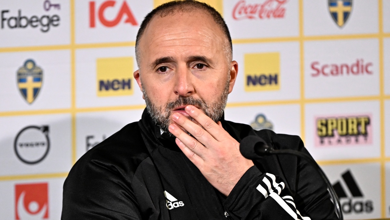 belmadi