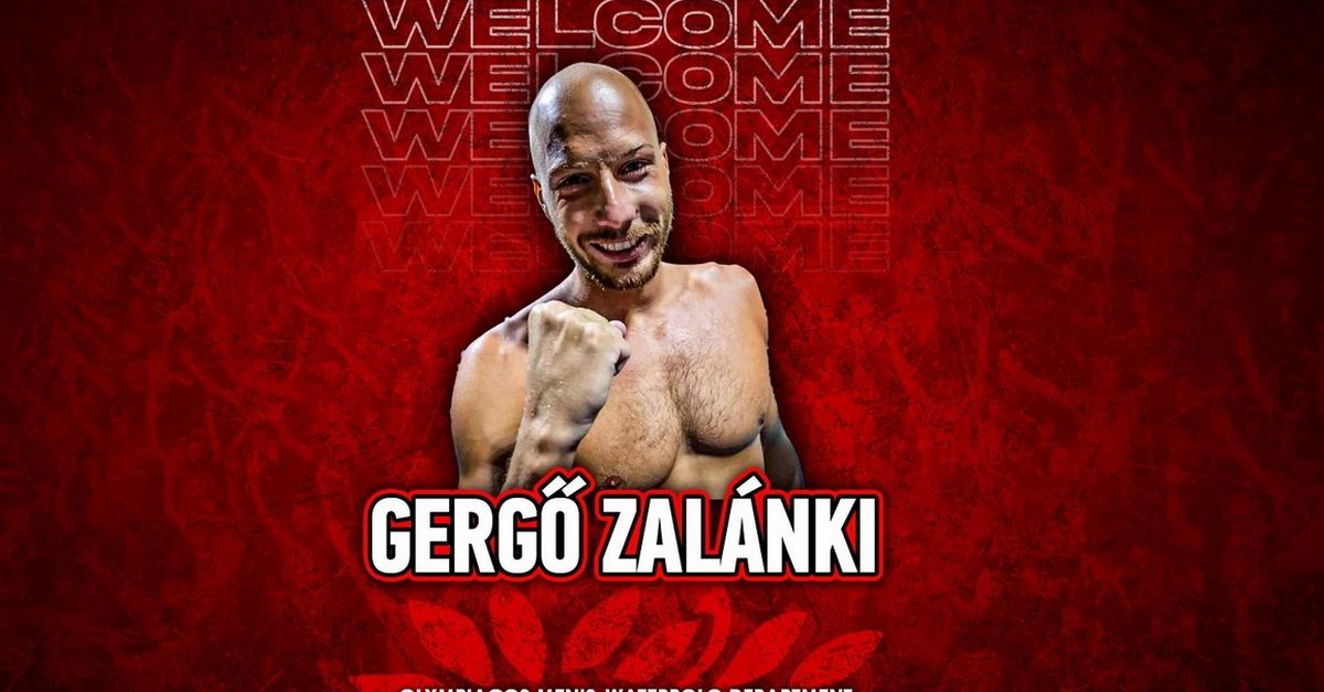 gergo-zalanki