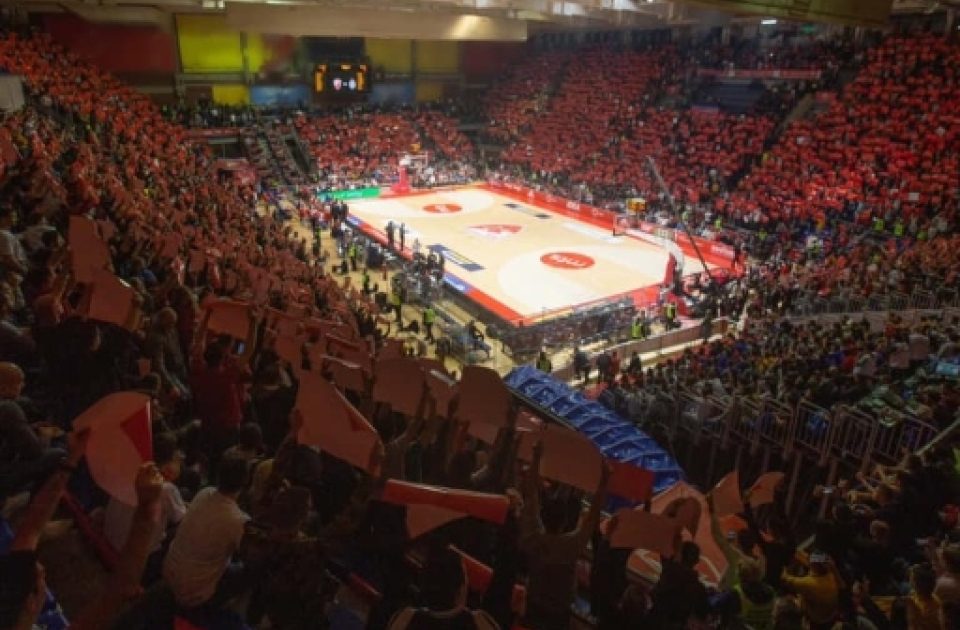 hala pionir