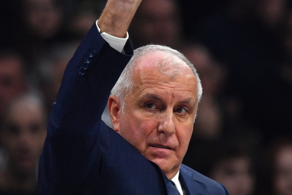 obradovic 2